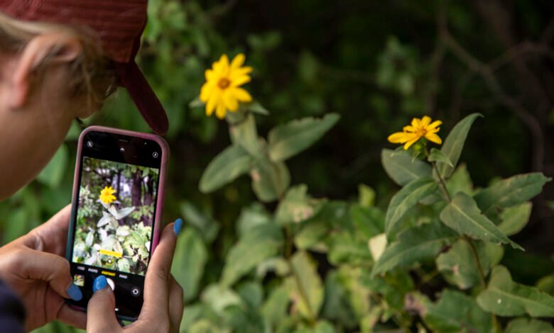 Repiw Com Foto Keren Dengan Ponsel Trik Jadi Fotografer Andal